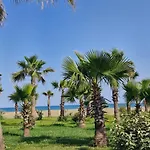 Aurora Qerret גולם