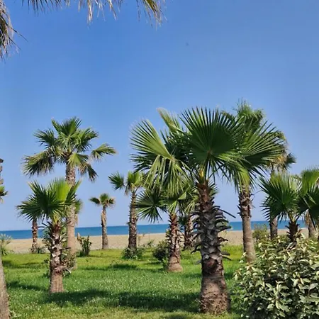 Aurora Qerret غوليم