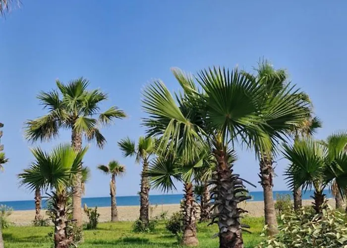 Aurora Qerret ゴーレム